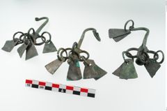 Foto von Bronzeachsnagel (NHMW-PRAE-025272)